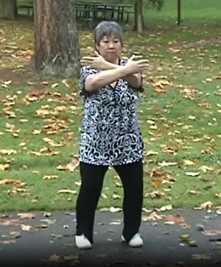 Style Yang Family Troisième partie